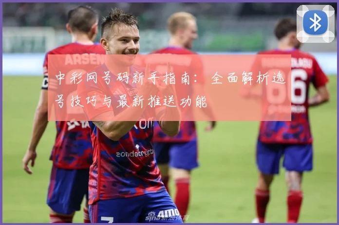 中彩网号码新手指南：全面解析选号技巧与最新推送功能