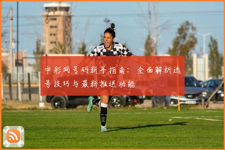 中彩网号码新手指南：全面解析选号技巧与最新推送功能