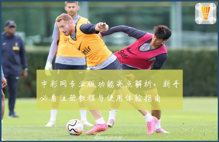 中彩网专业版功能亮点解析，新手必看注册教程与使用体验指南