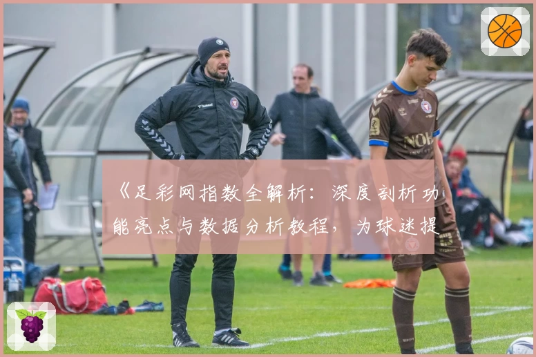 《足彩网指数全解析：深度剖析功能亮点与数据分析教程，为球迷提供精准参考》
