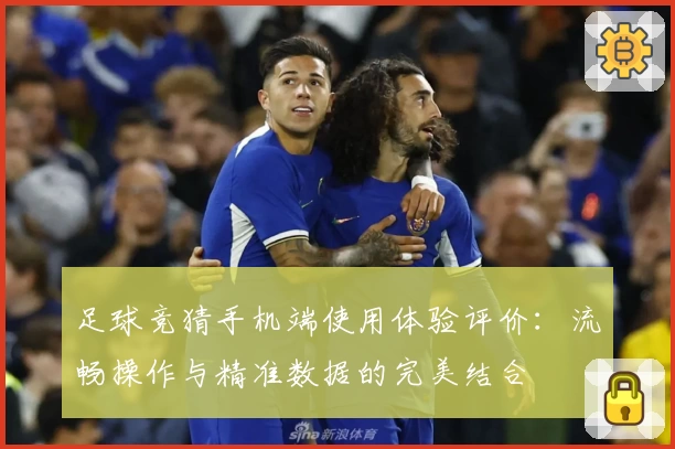 足球竞猜手机端使用体验评价：流畅操作与精准数据的完美结合
